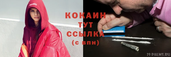 шишки Кукмор
