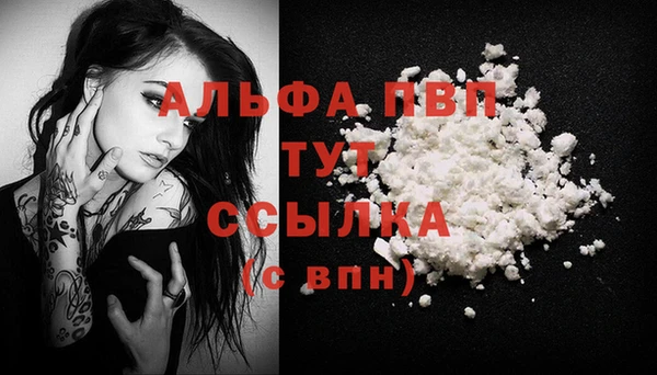 шишки Кукмор