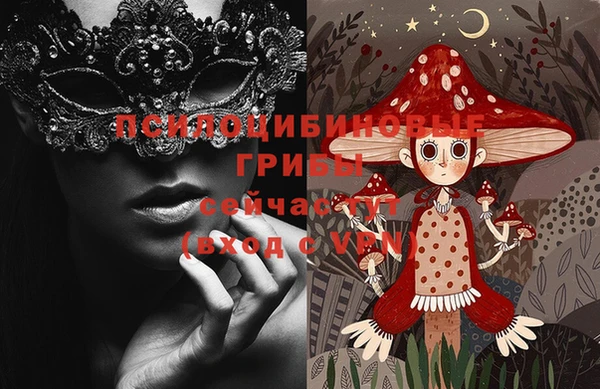 шишки Кукмор